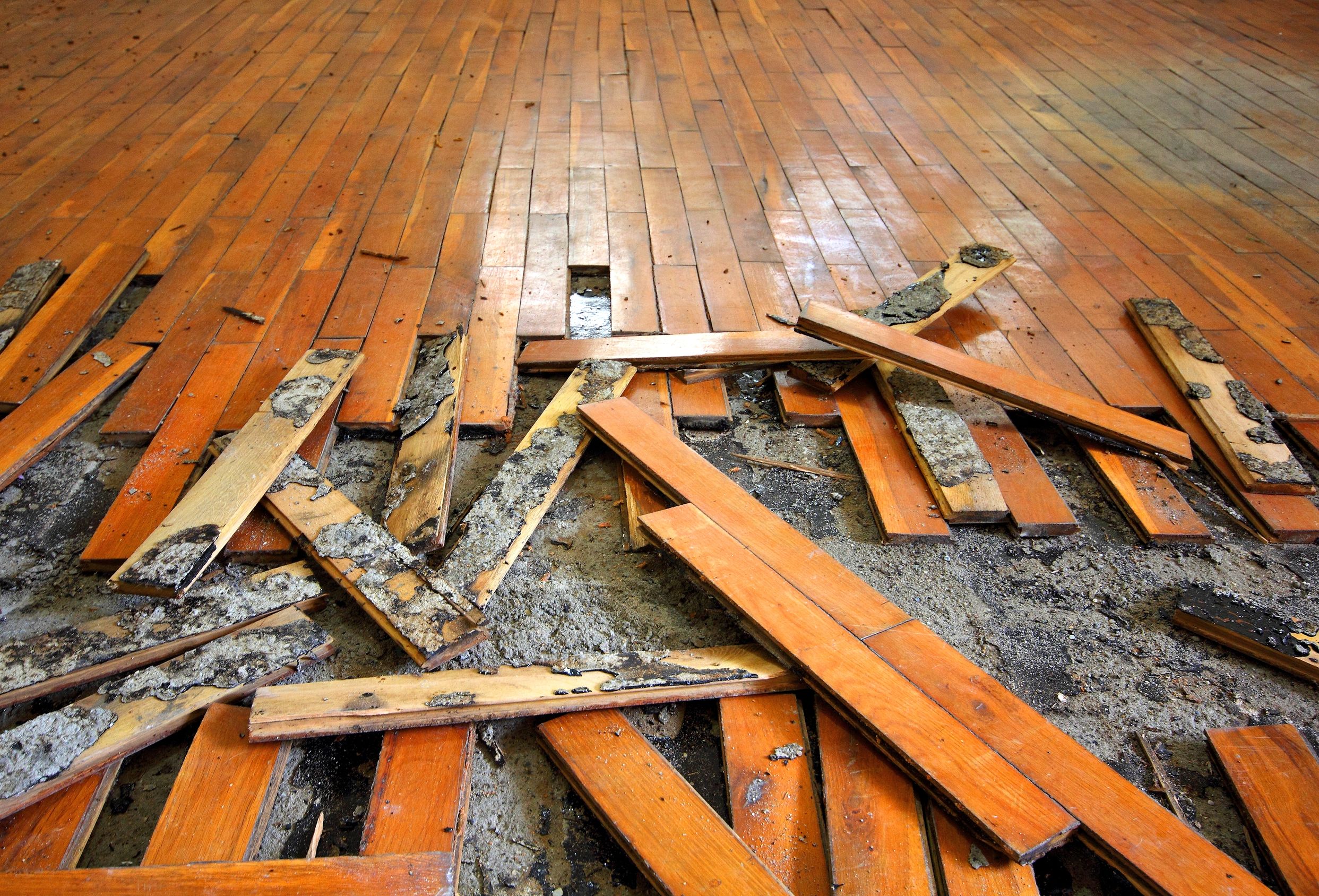 How To Repair A Water Damaged Wood Floor Woodfloordoctor Com